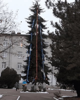 На территории ГБУЗ СК «ПММФЦ»