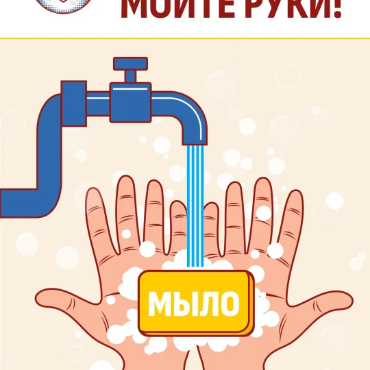 mojte-ruki