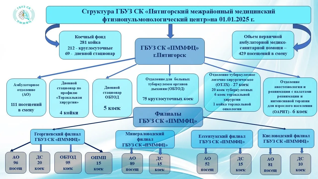 Структура ГБУЗ СК ПММФЦ